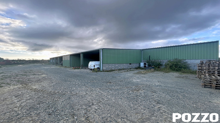Ma-Cabane - Vente Local commercial LINGREVILLE, 1325 m²