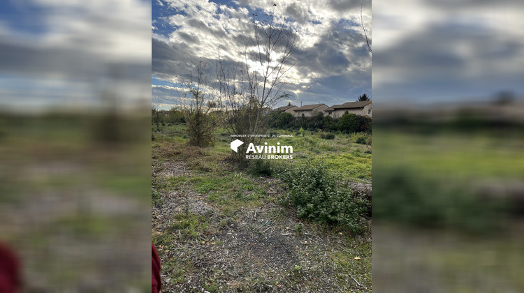 Ma-Cabane - Vente Local commercial Livron-sur-Drôme, 932 m²