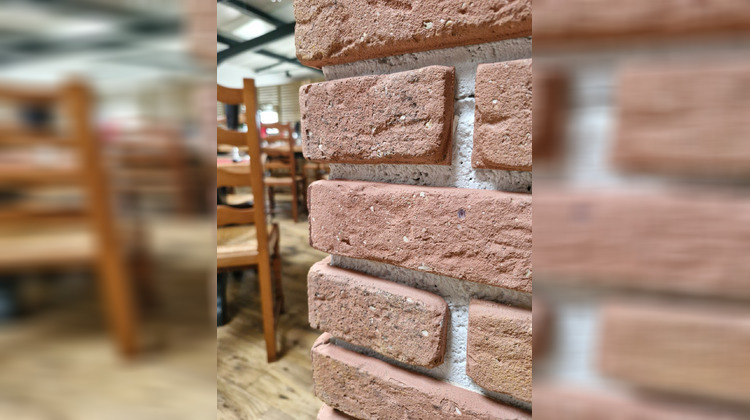 Ma-Cabane - Vente Local commercial Locqueltas, 470 m²