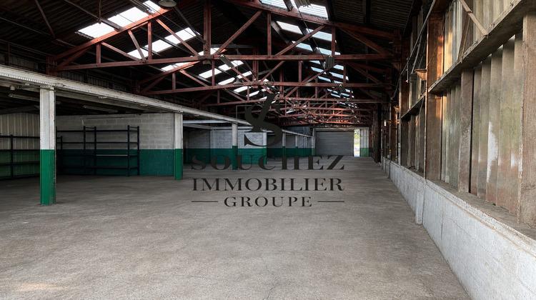 Ma-Cabane - Vente Local commercial Loison-sous-Lens, 595 m²