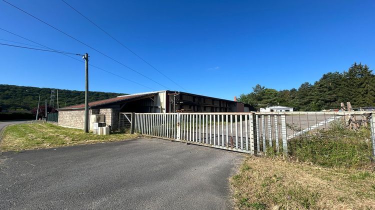 Ma-Cabane - Vente Local commercial Longeville-lès-Saint-Avold, 3306 m²