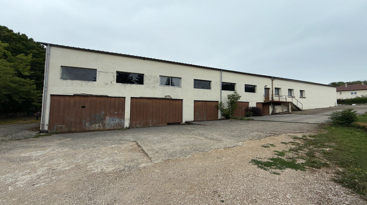 Ma-Cabane - Vente Local commercial LONS-LE-SAUNIER, 1300 m²