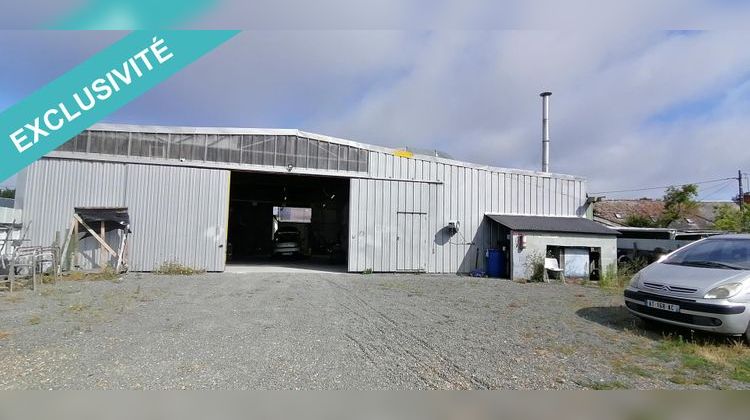 Ma-Cabane - Vente Local commercial Luceau, 3935 m²