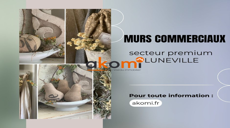 Ma-Cabane - Vente Local commercial Lunéville, 250 m²