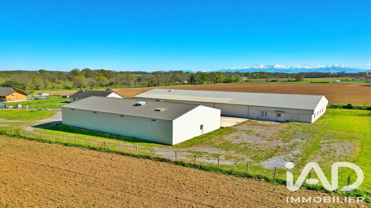 Ma-Cabane - Vente Local commercial Luquet, 1234 m²