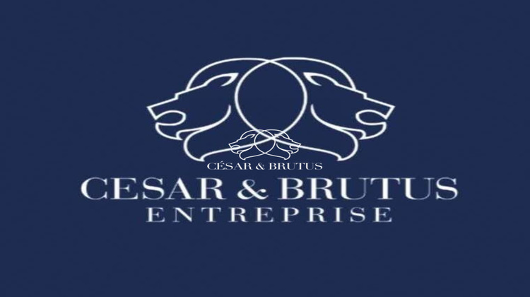 Ma-Cabane - Vente Local commercial Lyon, 50 m²