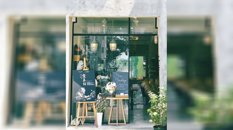 Ma-Cabane - Vente Local commercial Lyon, 42 m²