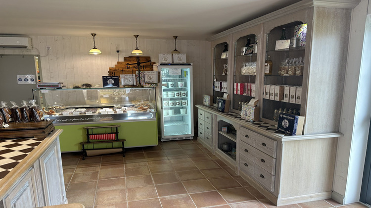 Ma-Cabane - Vente Local commercial Maizières-la-Grande-Paroisse, 480 m²