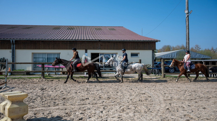 Ma-Cabane - Vente Local commercial Marles-en-Brie, 800 m²