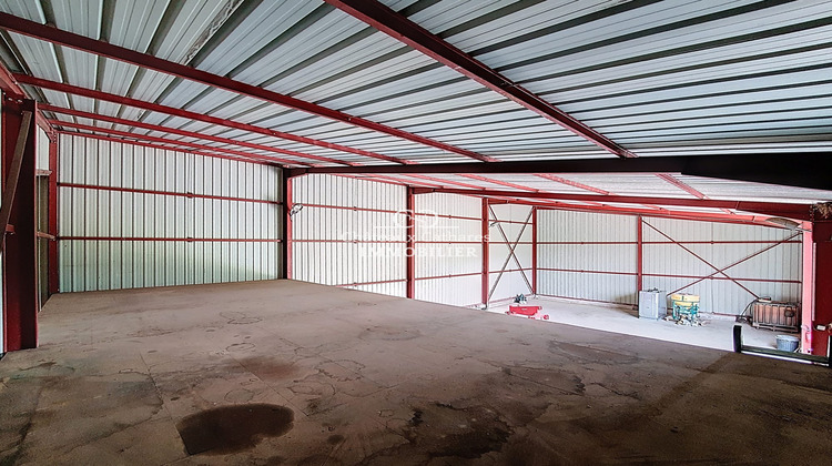 Ma-Cabane - Vente Local commercial Maury, 280 m²