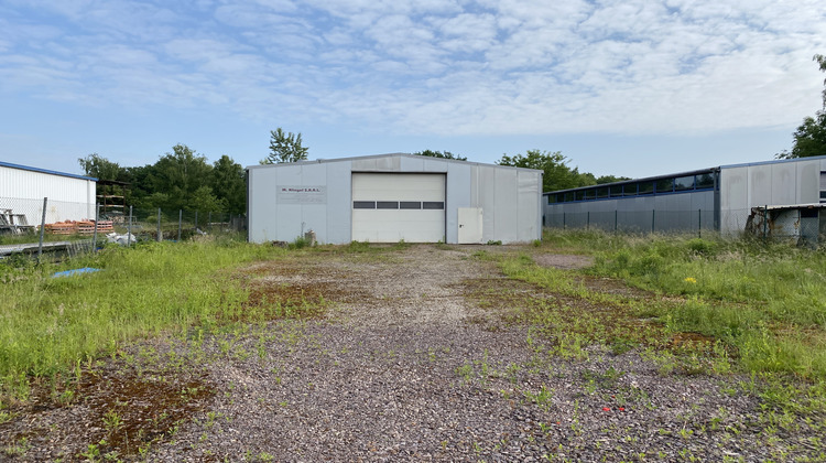 Ma-Cabane - Vente Local commercial Merten, 295 m²