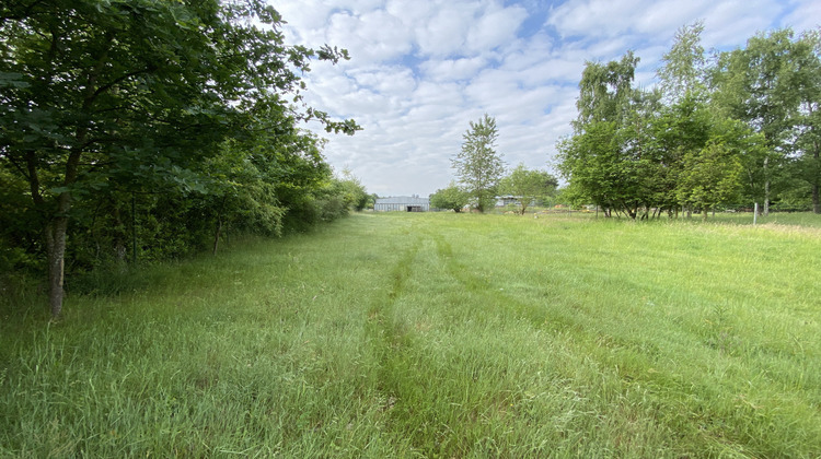 Ma-Cabane - Vente Local commercial Merten, 295 m²