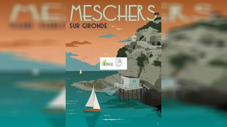 Ma-Cabane - Vente Local commercial Meschers-sur-Gironde, 770 m²