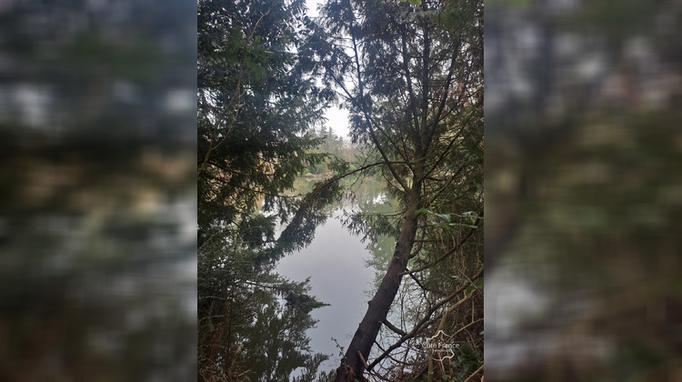 Ma-Cabane - Vente Local commercial Mézières-sur-Oise, 739 m²