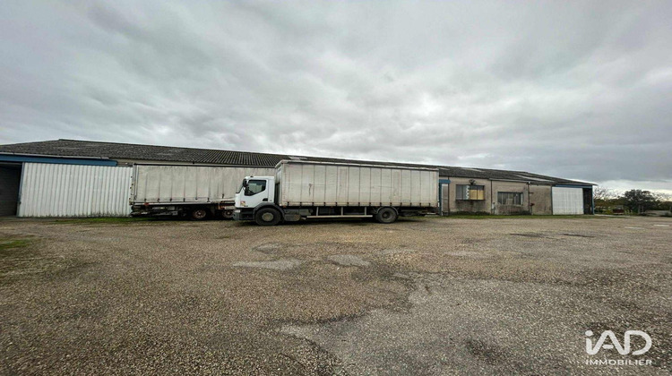 Ma-Cabane - Vente Local commercial Mézin, 800 m²