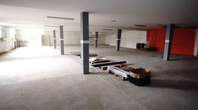 Ma-Cabane - Vente Local commercial Mirande, 1318 m²