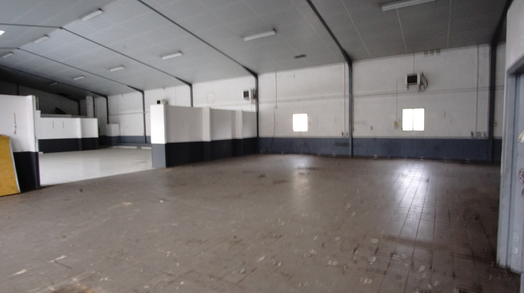 Ma-Cabane - Vente Local commercial Mirande, 1318 m²