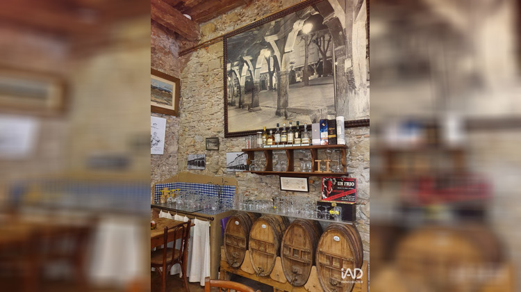 Ma-Cabane - Vente Local commercial Mirepoix, 600 m²