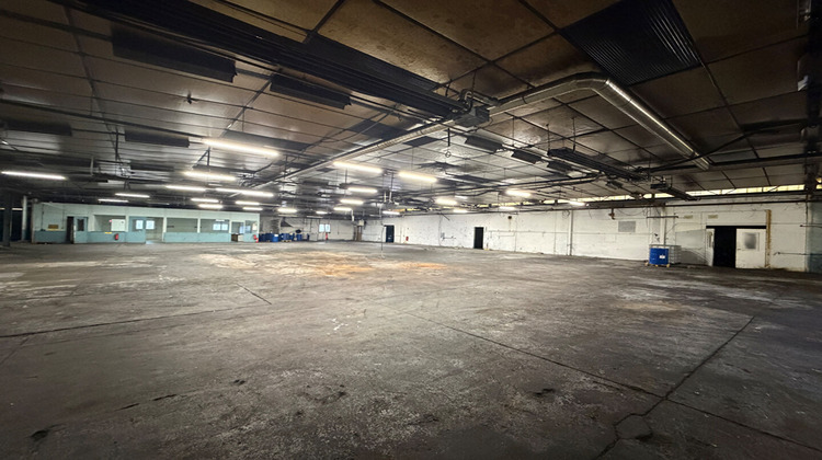 Ma-Cabane - Vente Local commercial MISEREY-SALINES, 2595 m²