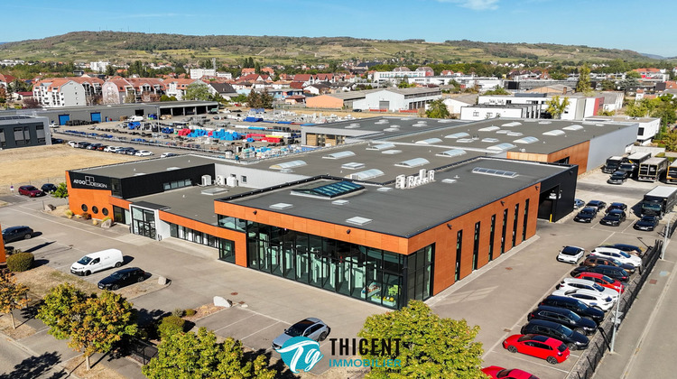 Ma-Cabane - Vente Local commercial Molsheim, 4775 m²