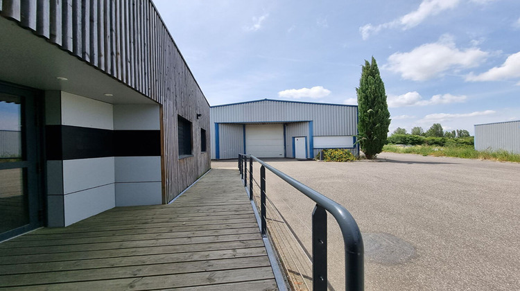 Ma-Cabane - Vente Local commercial MONDOUZIL, 660 m²