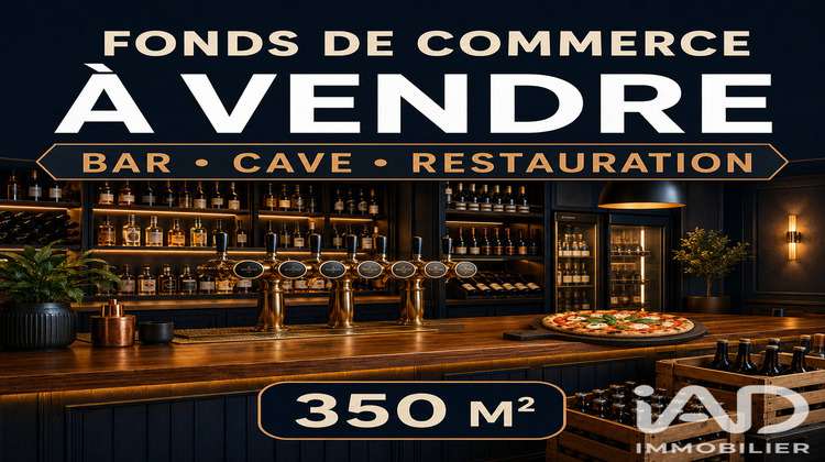 Ma-Cabane - Vente Local commercial Monéteau, 350 m²