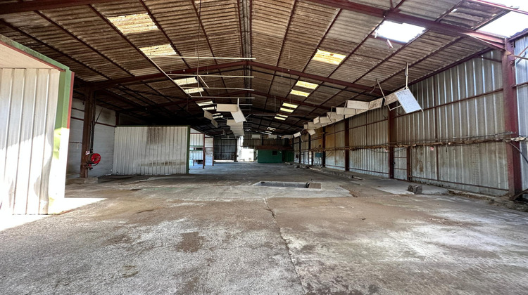 Ma-Cabane - Vente Local commercial Mont-de-Marsan, 4000 m²