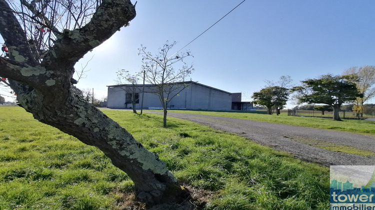 Ma-Cabane - Vente Local commercial Montauban, 2925 m²