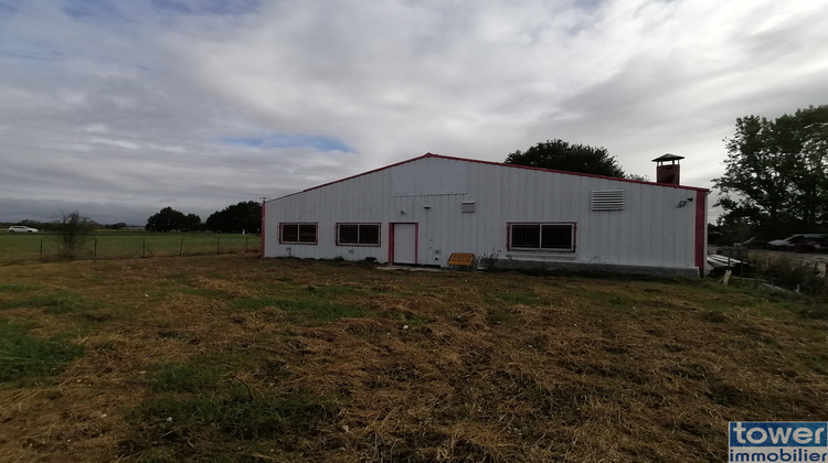 Ma-Cabane - Vente Local commercial Montbeton, 445 m²