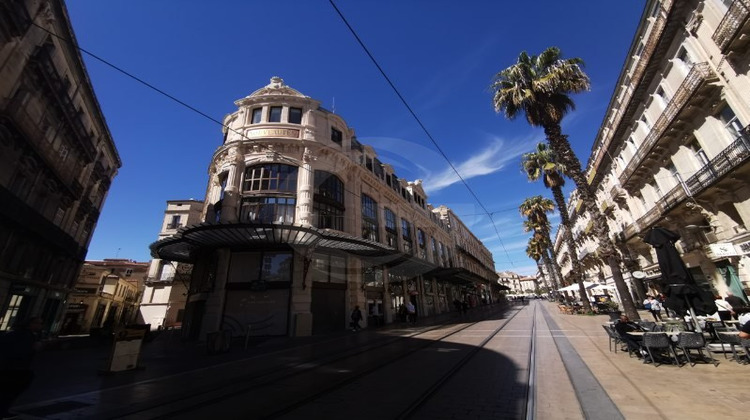Ma-Cabane - Vente Local commercial MONTPELLIER, 100 m²