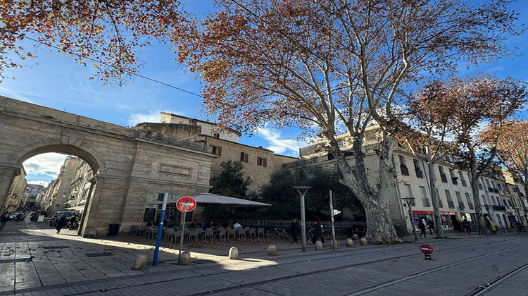 Ma-Cabane - Vente Local commercial MONTPELLIER, 48 m²