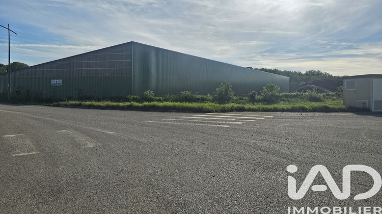 Ma-Cabane - Vente Local commercial Montrond, 1600 m²
