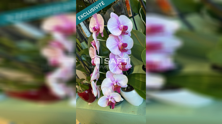 Ma-Cabane - Vente Local commercial Moret Loing Et Orvanne, 51 m²