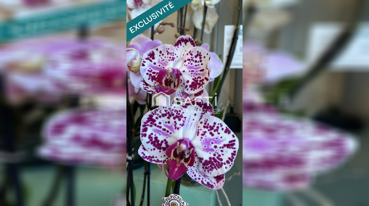 Ma-Cabane - Vente Local commercial Moret Loing Et Orvanne, 51 m²