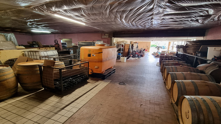 Ma-Cabane - Vente Local commercial MOREY-SAINT-DENIS, 780 m²