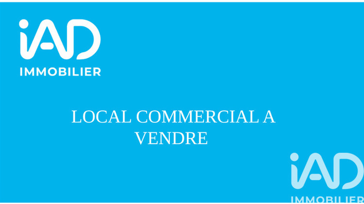 Ma-Cabane - Vente Local commercial Mornac, 490 m²