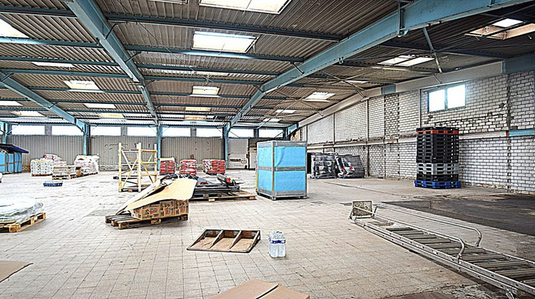 Ma-Cabane - Vente Local commercial MULHOUSE, 1939 m²