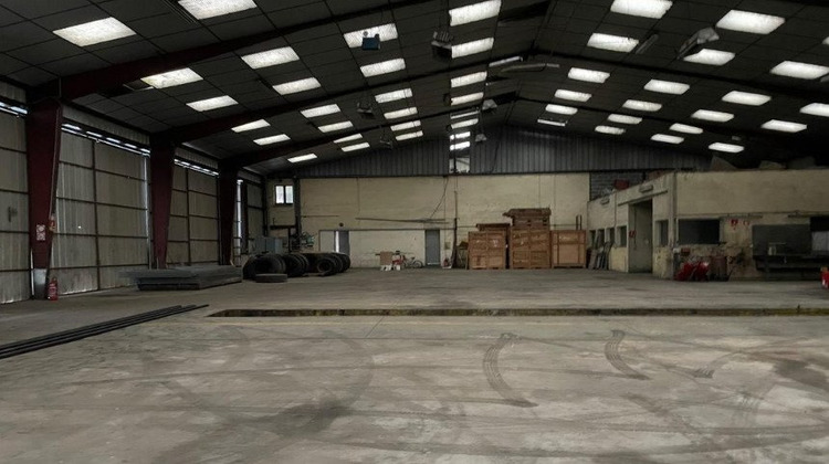 Ma-Cabane - Vente Local commercial NAGEL SEEZ MESNIL, 1350 m²