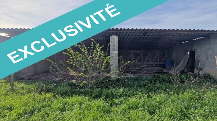 Ma-Cabane - Vente Local commercial Negrepelisse, 627 m²