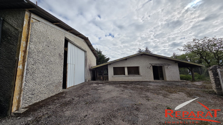 Ma-Cabane - Vente Local commercial Nespouls, 250 m²