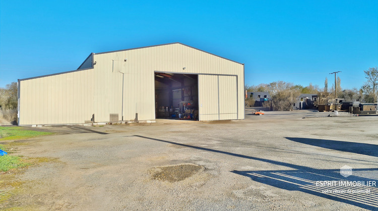 Ma-Cabane - Vente Local commercial NEVEZ, 3900 m²