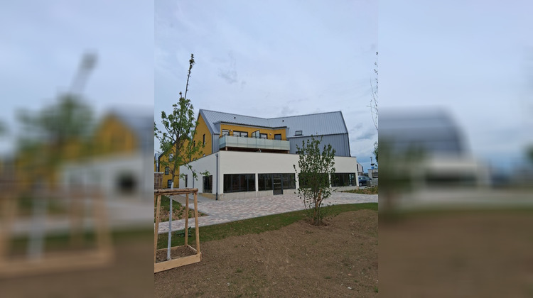 Ma-Cabane - Vente Local commercial Niederhausbergen, 164 m²