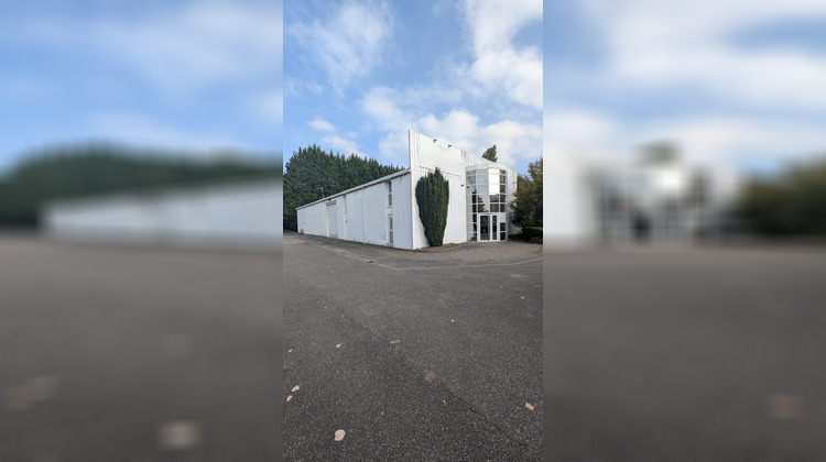 Ma-Cabane - Vente Local commercial Nordhouse, 4777 m²