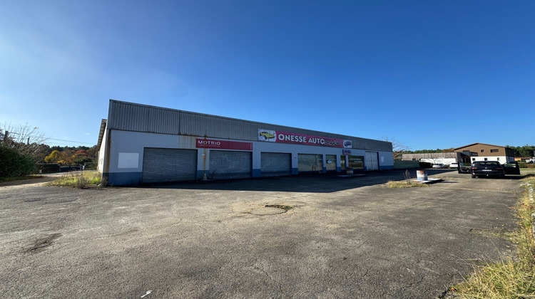 Ma-Cabane - Vente Local commercial Onesse-Laharie, 1700 m²