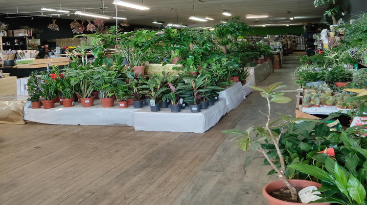 Ma-Cabane - Vente Local commercial Orange, 600 m²