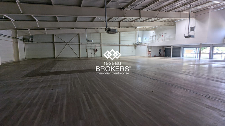 Ma-Cabane - Vente Local commercial Otterswiller, 1113 m²