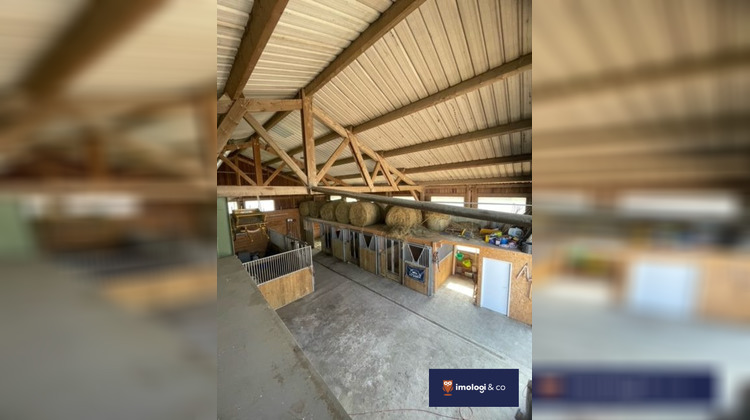 Ma-Cabane - Vente Local commercial Oye-et-Pallet, 230 m²