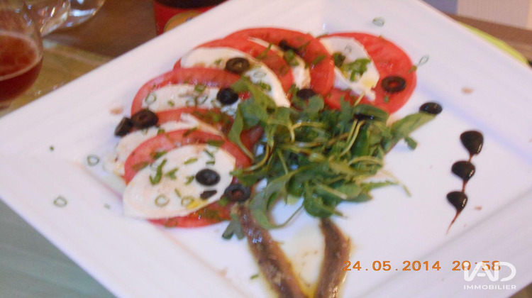 Ma-Cabane - Vente Local commercial Perpignan, 450 m²