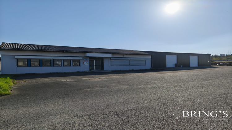 Ma-Cabane - Vente Local commercial Phalsbourg, 434 m²