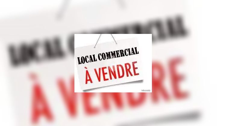 Ma-Cabane - Vente Local commercial PIPRIAC, 115 m²